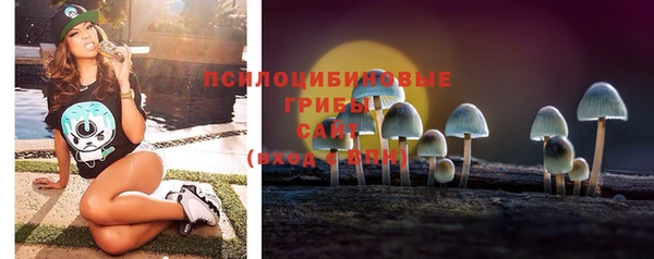 гидра Волосово