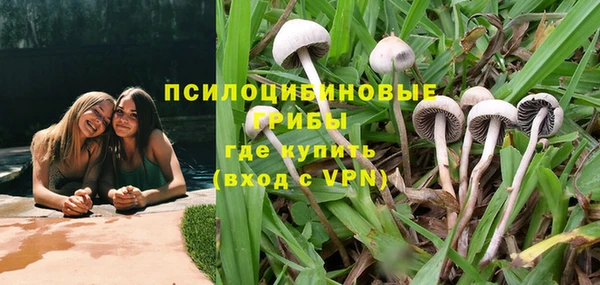 дурь Вязьма