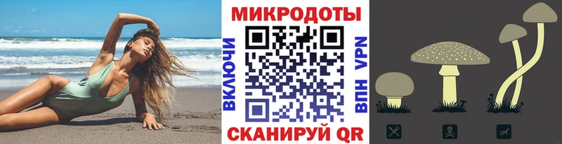 kraken зеркало  Котельнич  Галлюциногенные грибы GOLDEN TEACHER 